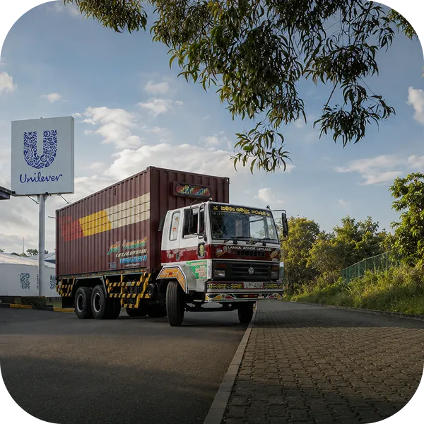 Group 1000003308